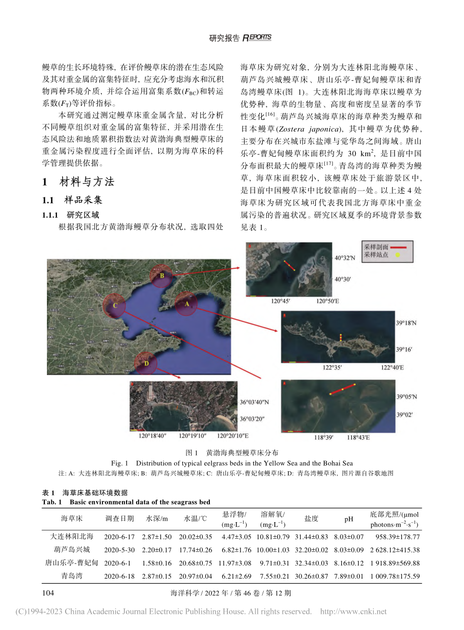 黄渤海典型鳗草海草床重金属生态风险评估_乔永亮.pdf_第2页