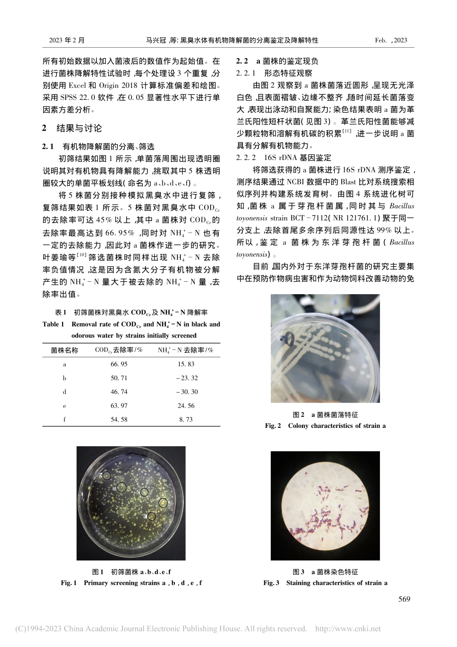 黑臭水体有机物降解菌的分离鉴定及降解特性_马兴冠.pdf_第3页