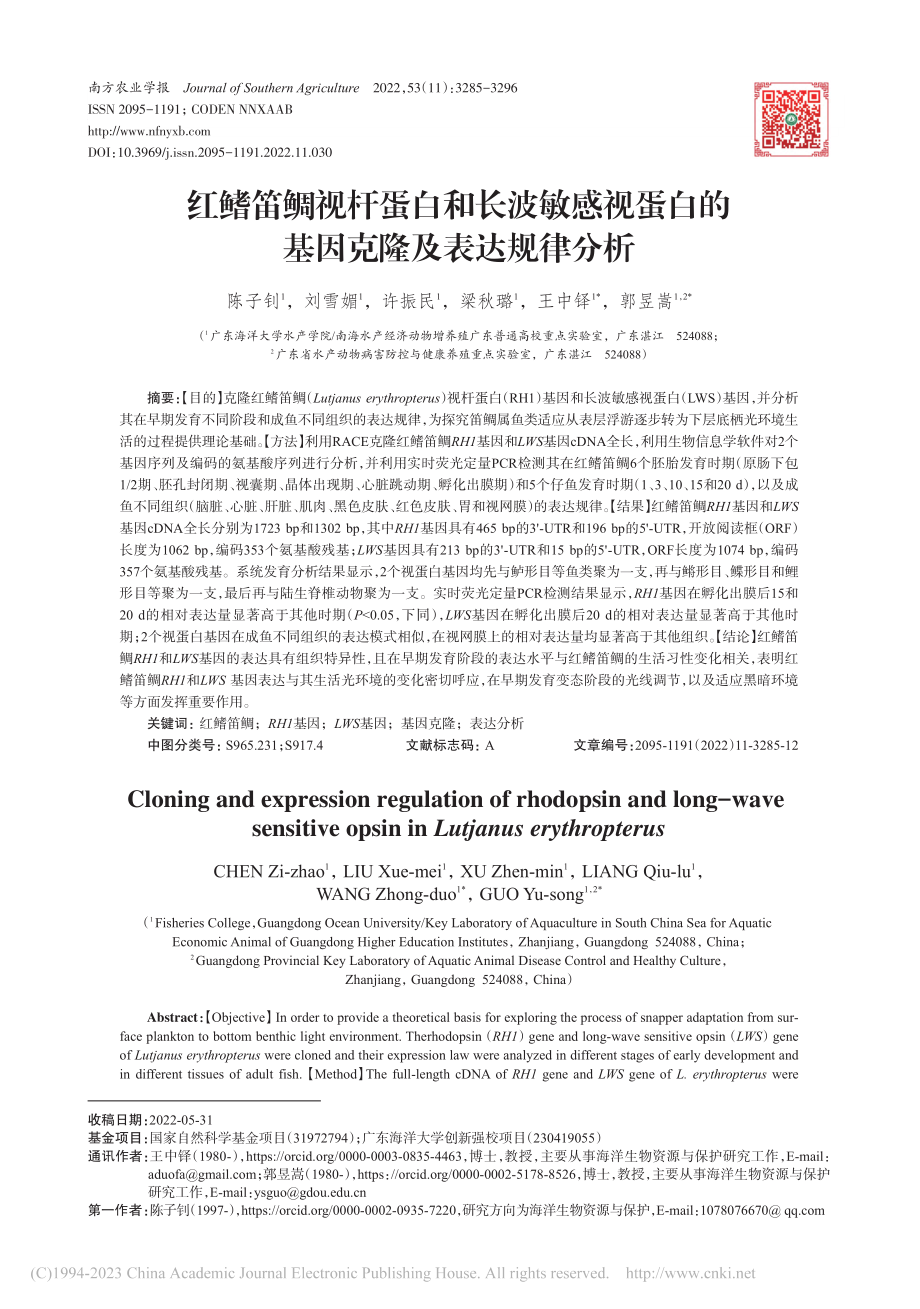 红鳍笛鲷视杆蛋白和长波敏感...白的基因克隆及表达规律分析_陈子钊.pdf_第1页