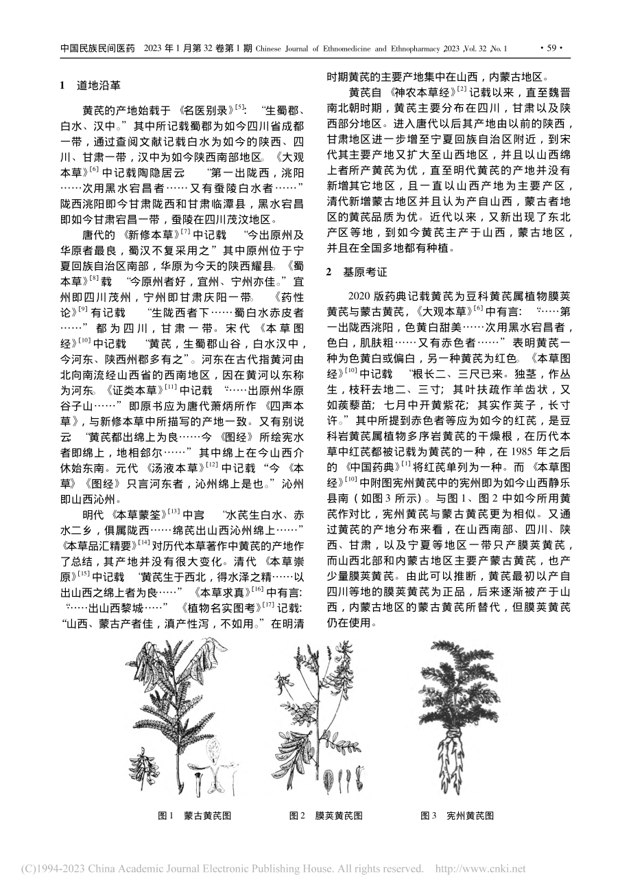 黄芪的本草考证及其研究进展_薛嘉宁.pdf_第2页