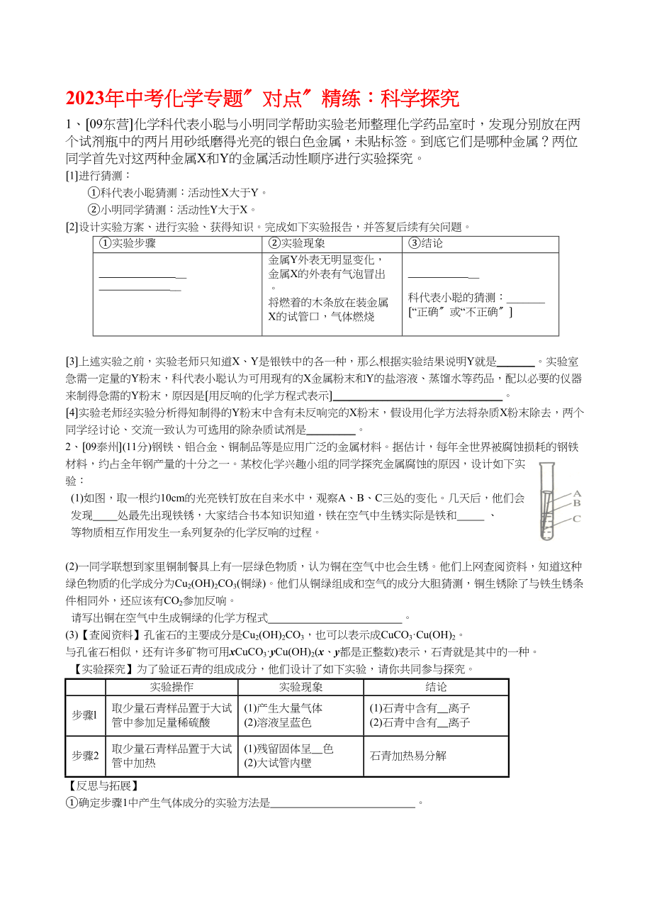 2023年中考化学专题对点精练科学探究初中化学.docx_第1页