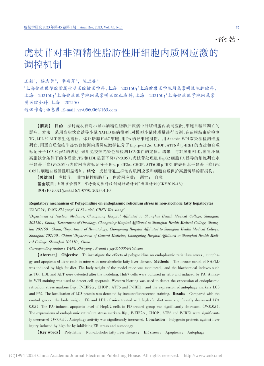 虎杖苷对非酒精性脂肪性肝细胞内质网应激的调控机制_王懿.pdf_第1页