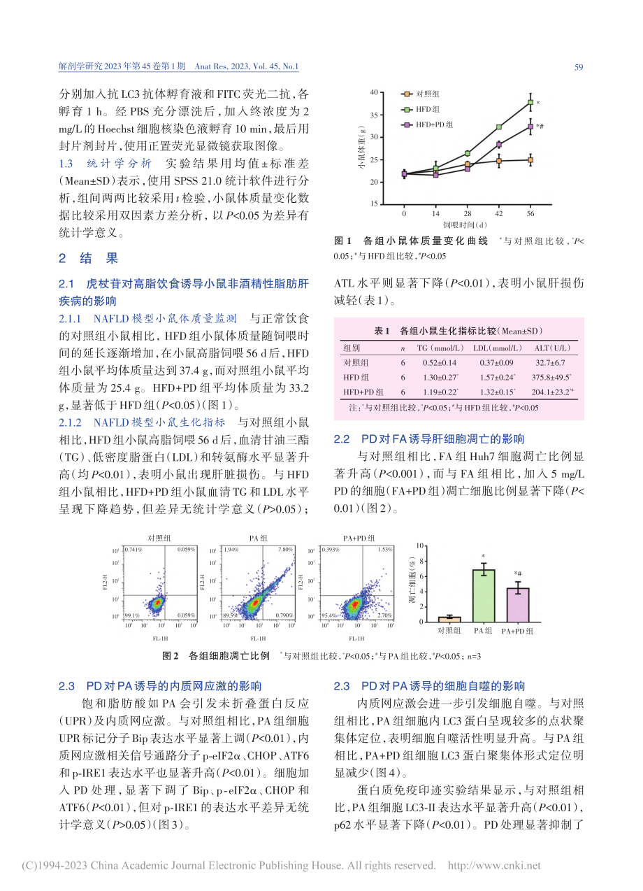 虎杖苷对非酒精性脂肪性肝细胞内质网应激的调控机制_王懿.pdf_第3页