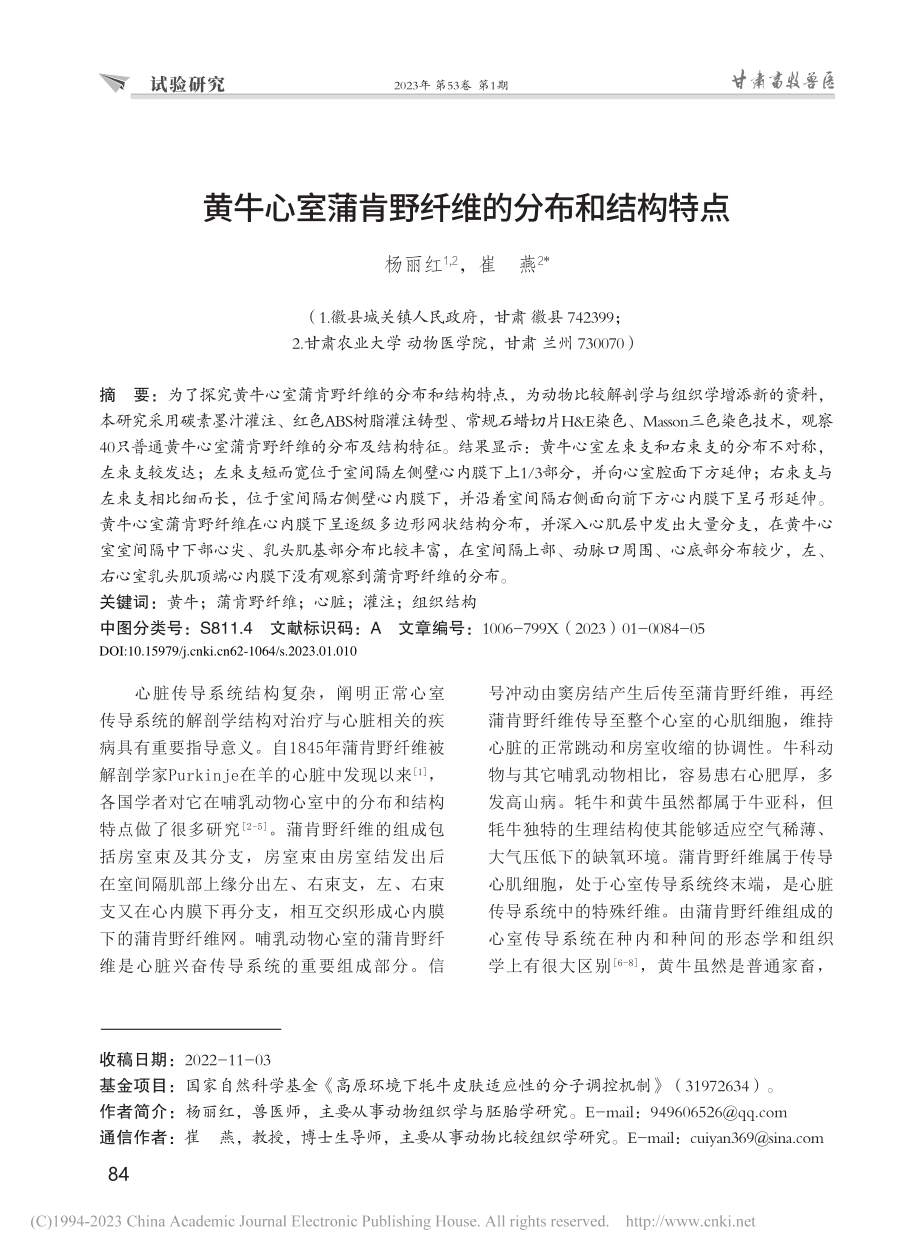 黄牛心室蒲肯野纤维的分布和结构特点_杨丽红.pdf_第1页