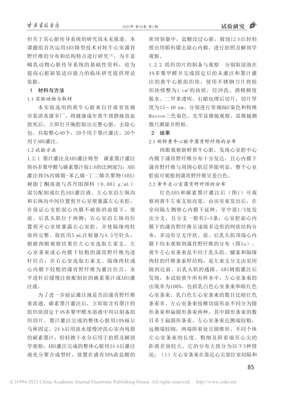 黄牛心室蒲肯野纤维的分布和结构特点_杨丽红.pdf_第2页