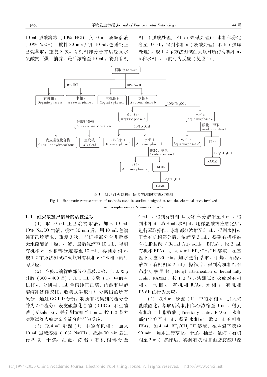 红火蚁搬尸信号物质的初步研究_高杰.pdf_第3页