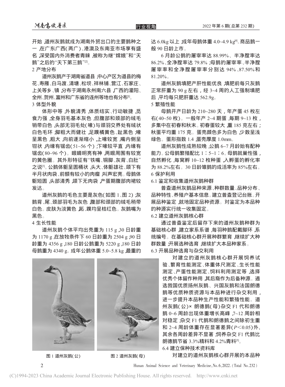 湖南地方优良鹅品种——道州灰鹅_于桂阳.pdf_第2页