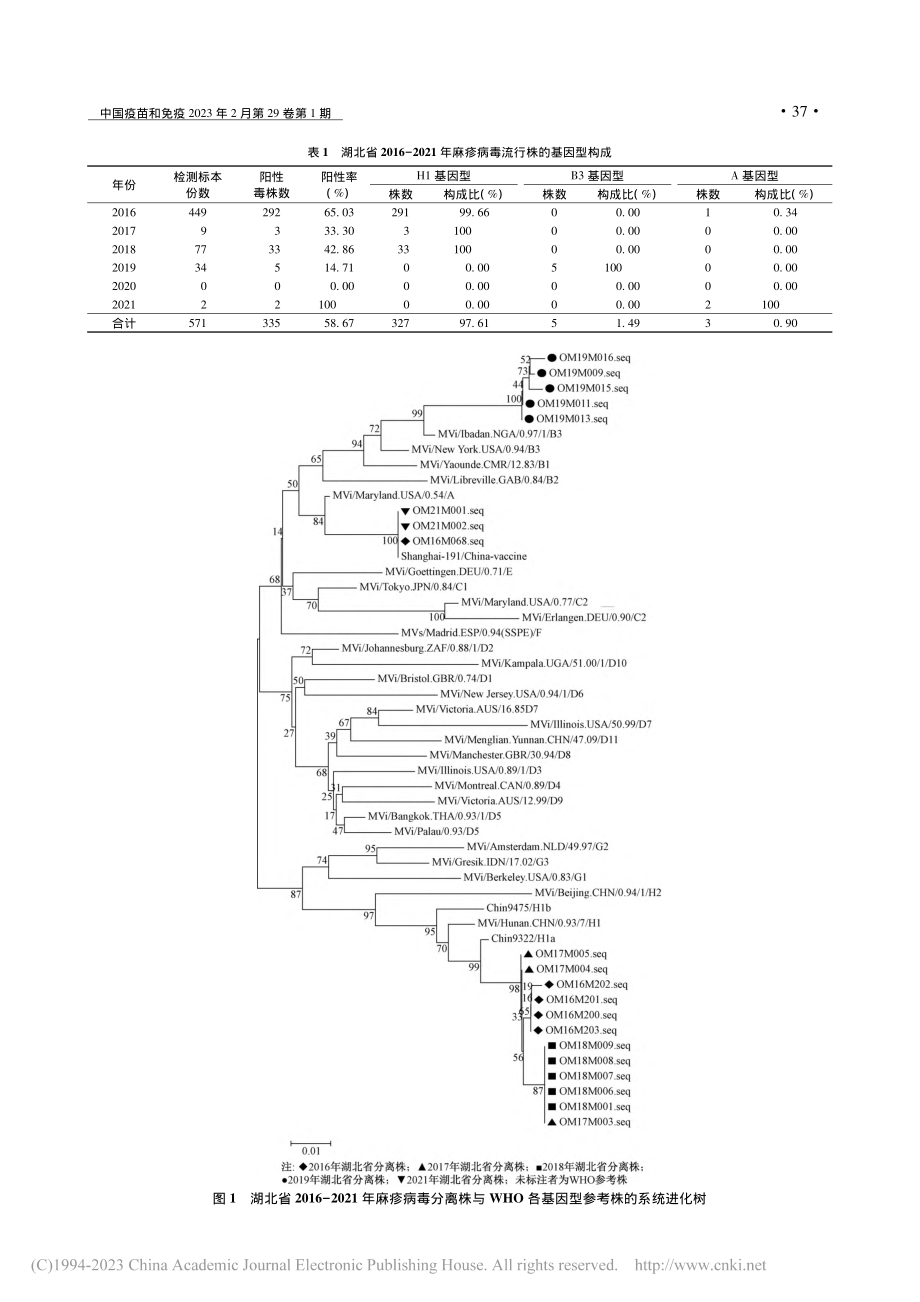 湖北省2016-2021年麻疹病毒流行株基因型特征_张婷.pdf_第3页