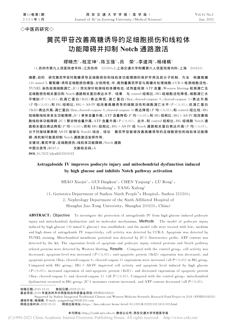 黄芪甲苷改善高糖诱导的足细...碍并抑制Notch通路激活_缪晓杰.pdf_第1页