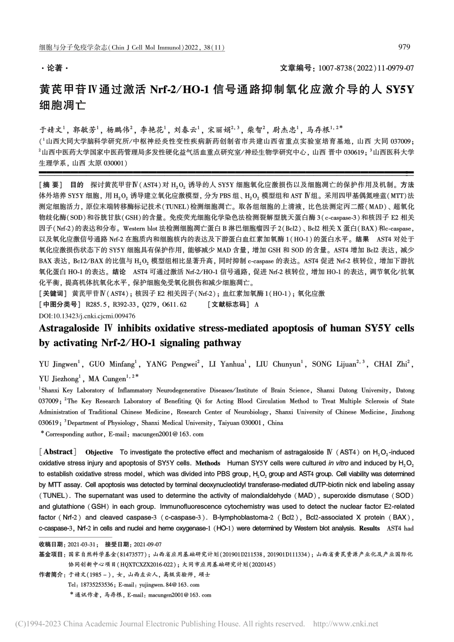 黄芪甲苷Ⅳ通过激活Nrf-...激介导的人SY5Y细胞凋亡_于婧文.pdf_第1页