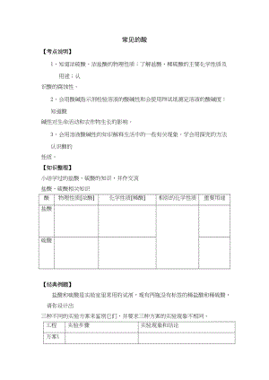 2023年中考常见的酸复习题及答案.docx