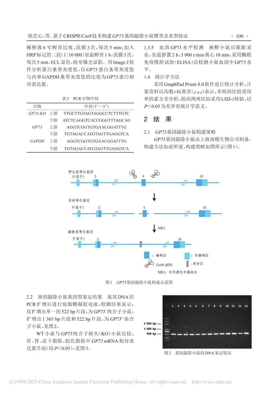 基于CRISPR_Cas9...基因敲除小鼠模型及表型验证_徐艺心.pdf_第3页