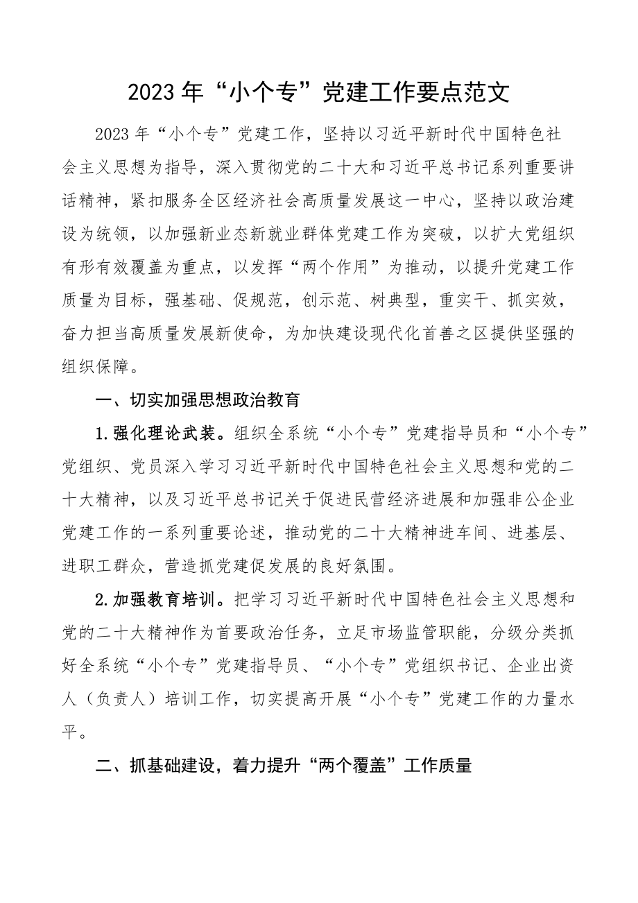 2023年小个专党建工作要点计划.docx_第1页