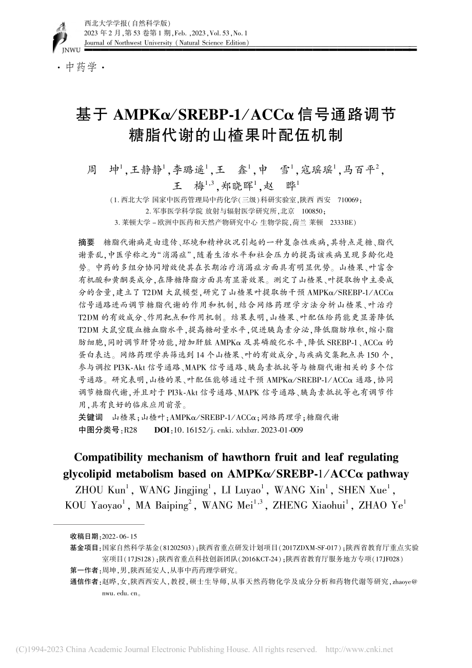 基于AMPKα_SREBP...糖脂代谢的山楂果叶配伍机制_周坤.pdf_第1页