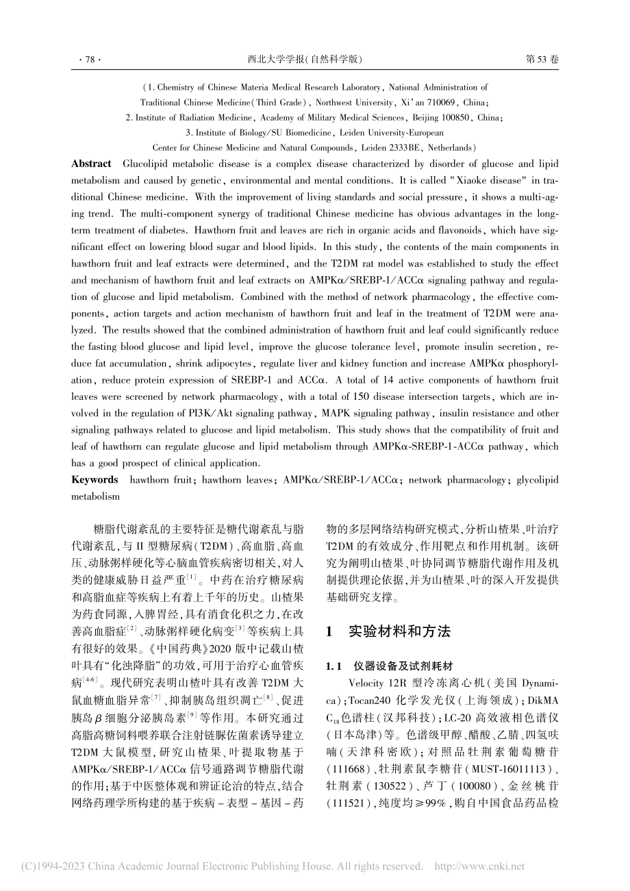 基于AMPKα_SREBP...糖脂代谢的山楂果叶配伍机制_周坤.pdf_第2页