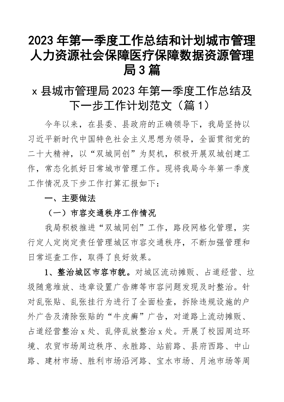 2023年第一季度工作总结和计划城市管理人力资源社会保障医疗保障数据资源管理局3篇.docx_第1页