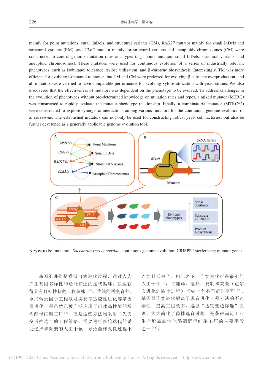 基因增变器驱动的酿酒酵母基因组连续进化_潘颖佳.pdf_第2页