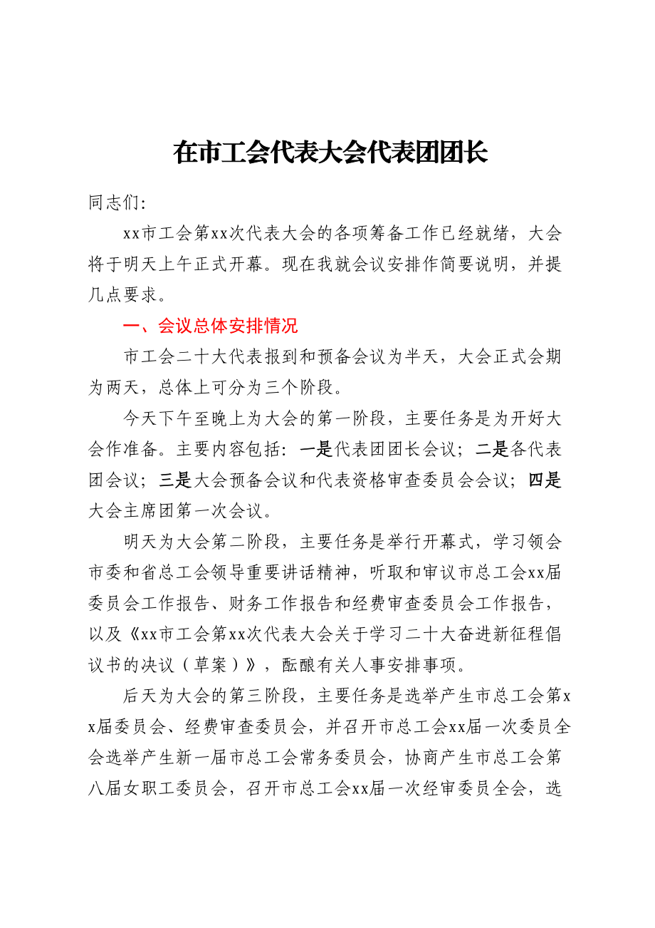 2023年在市工会代表大会代表团团长（召集人）会议上的讲话 .docx_第1页