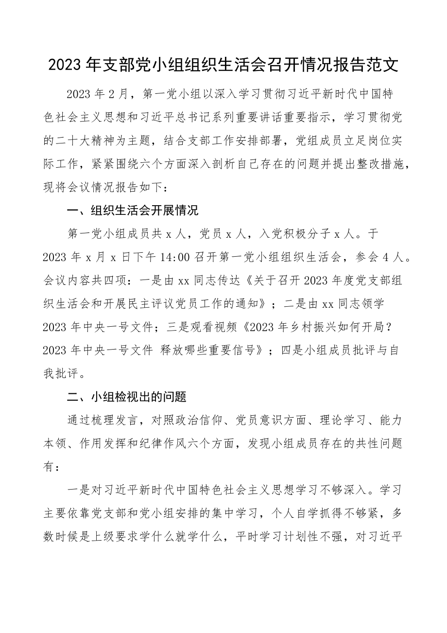 2023年支部党小组组织生活会召开情况报告汇报总结 .docx_第1页