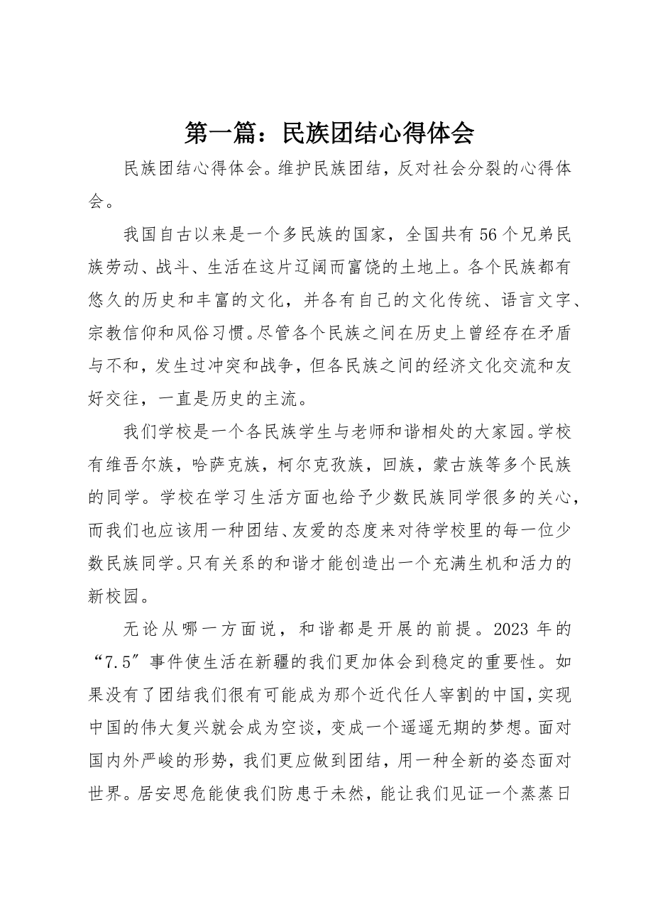 2023年xx民族团结心得体会新编.docx_第1页