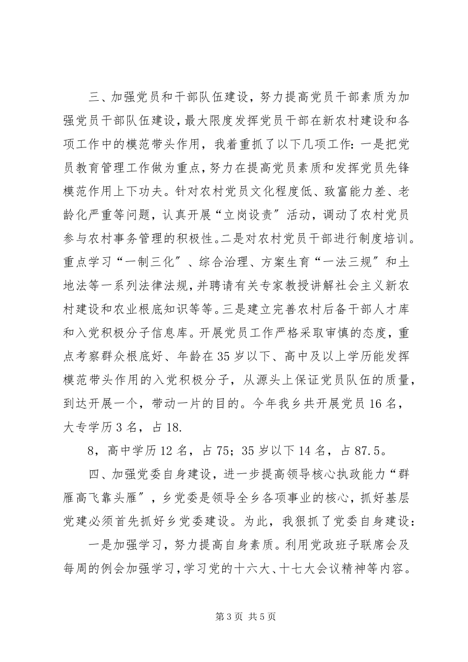 2023年xx乡党委书记党建工作述职报告.docx_第3页