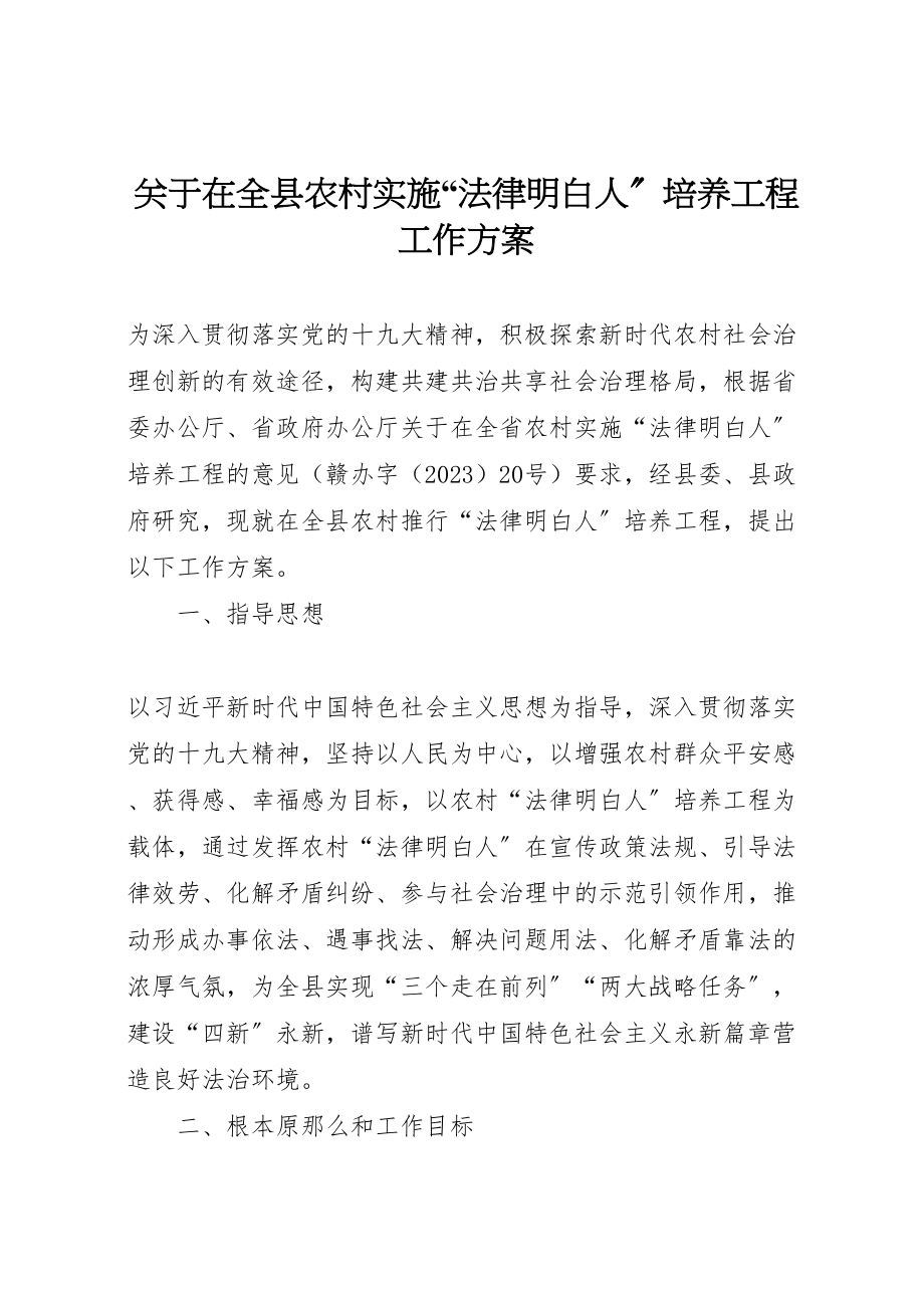 2023年关于在全县农村实施法律明白人培养工程工作方案.doc_第1页