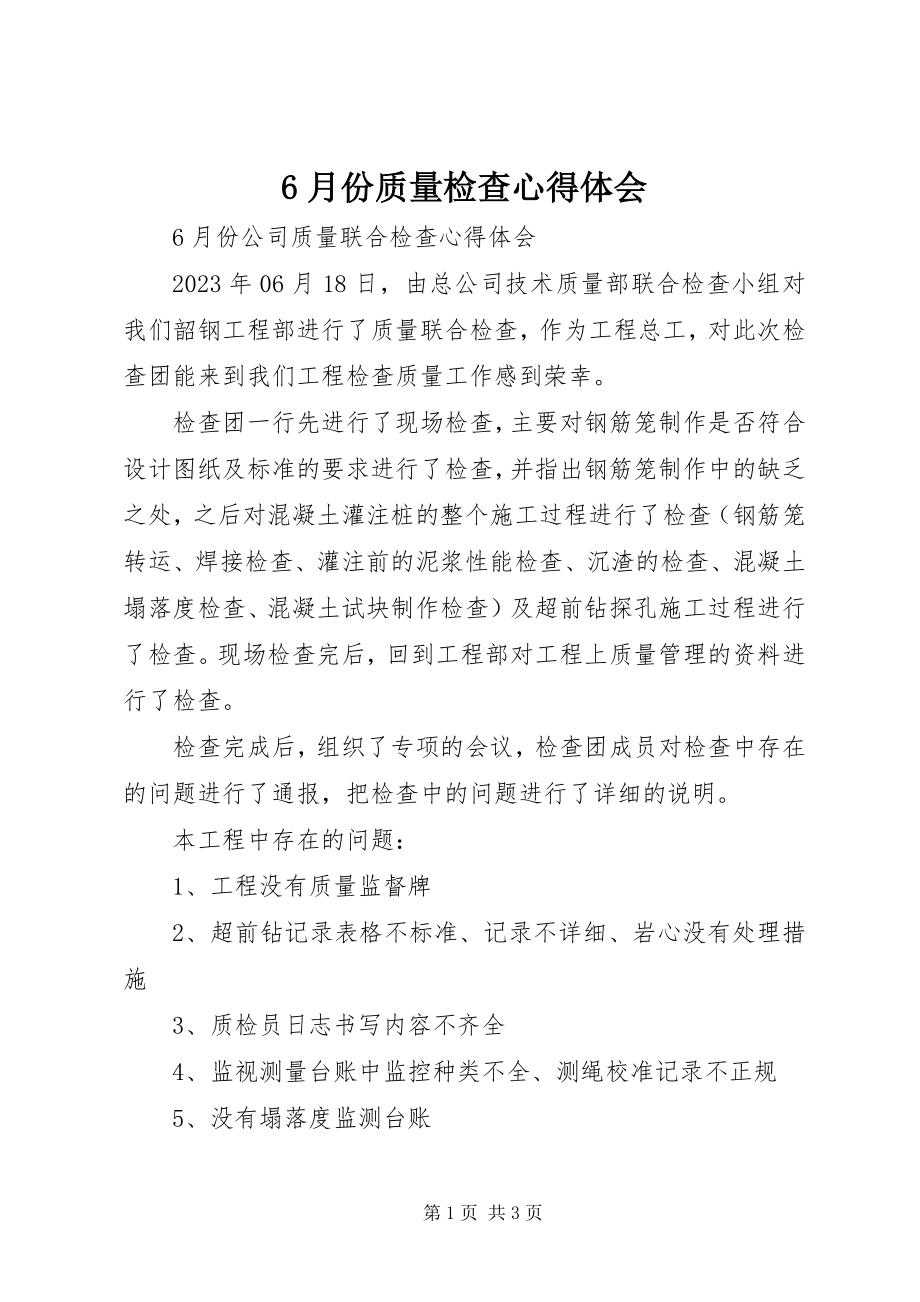 2023年6月份质量检查心得体会新编.docx_第1页