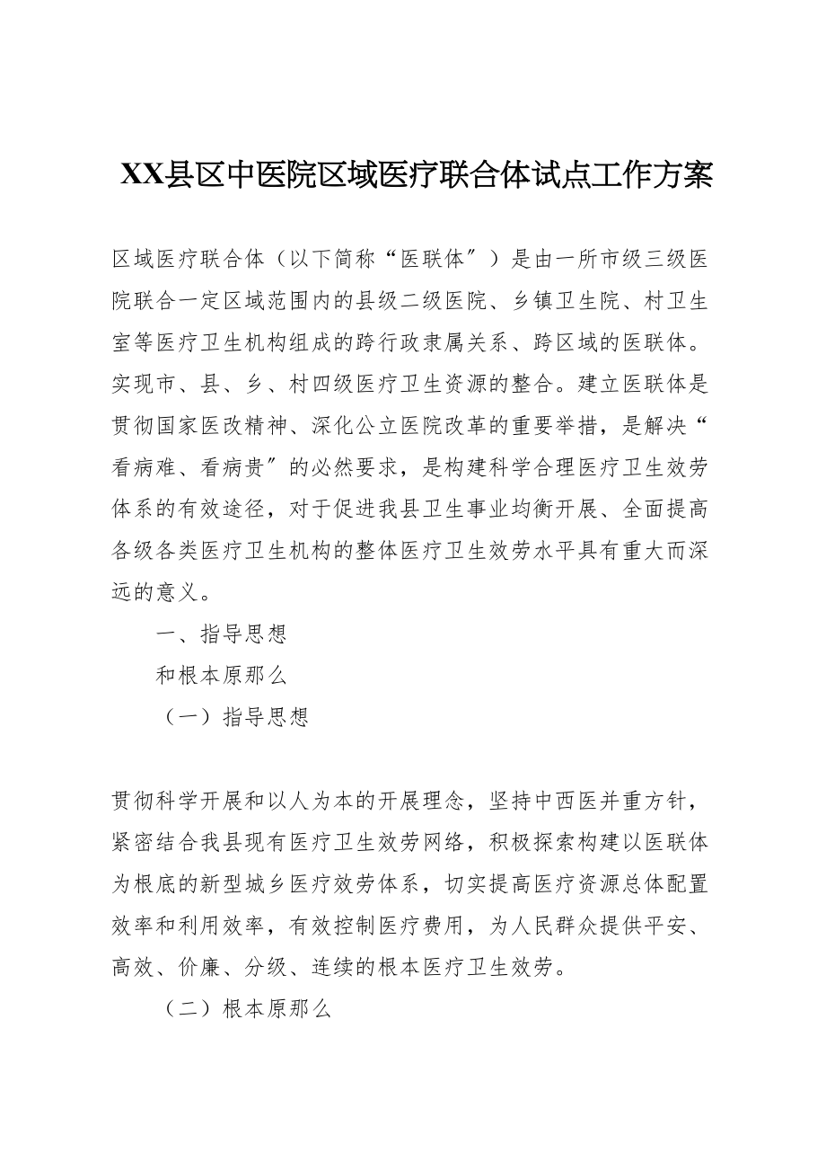 2023年县区中医院区域医疗联合体试点工作方案 4.doc_第1页