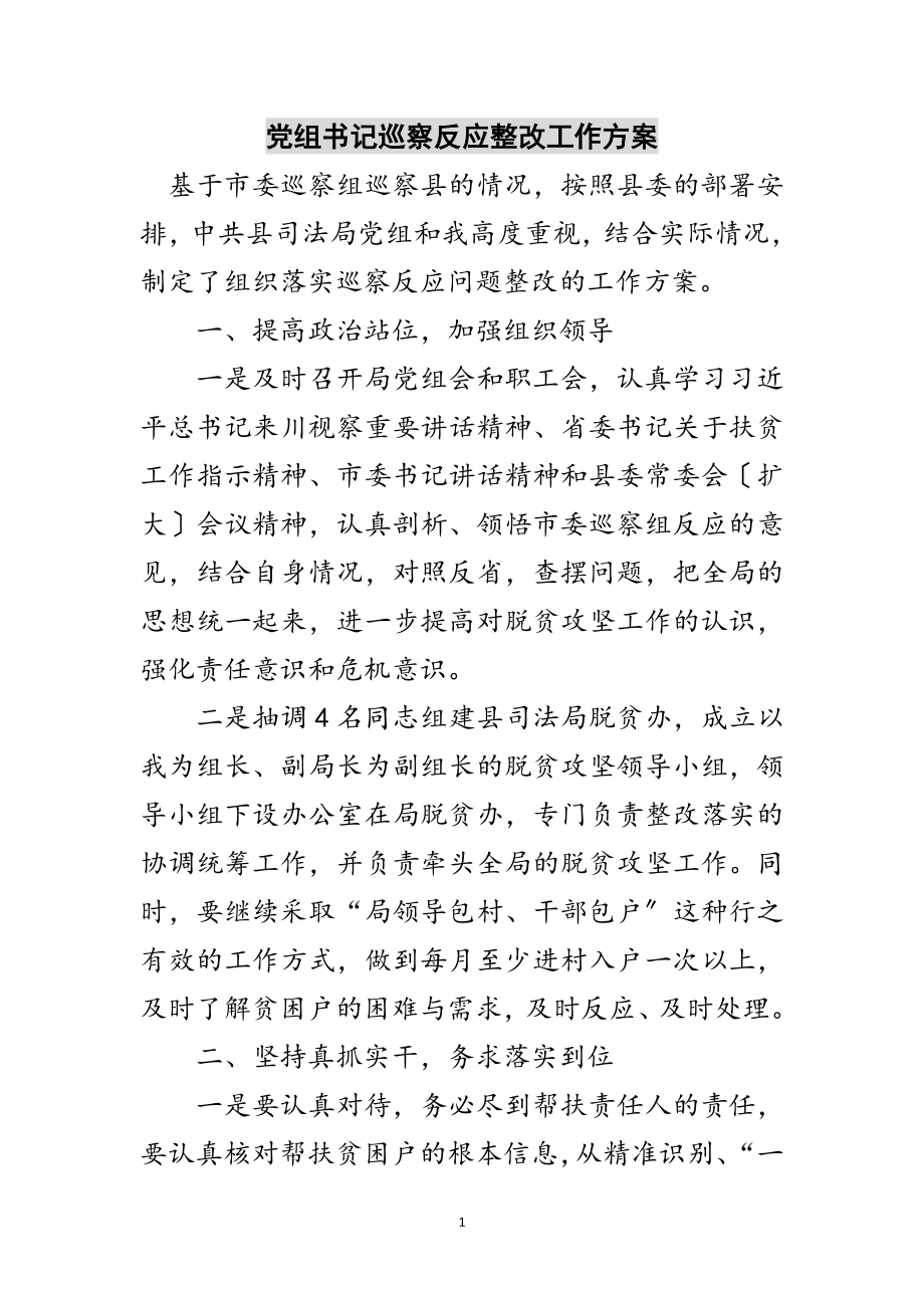 2023年党组书记巡察反馈整改工作方案范文.doc_第1页