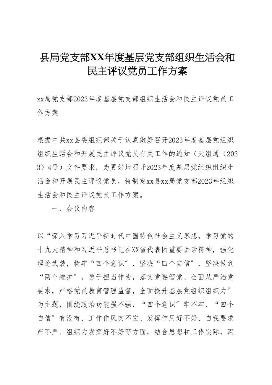 2023年县局党支部年度基层党支部组织生活会和民主评议党员工作方案.doc_第1页