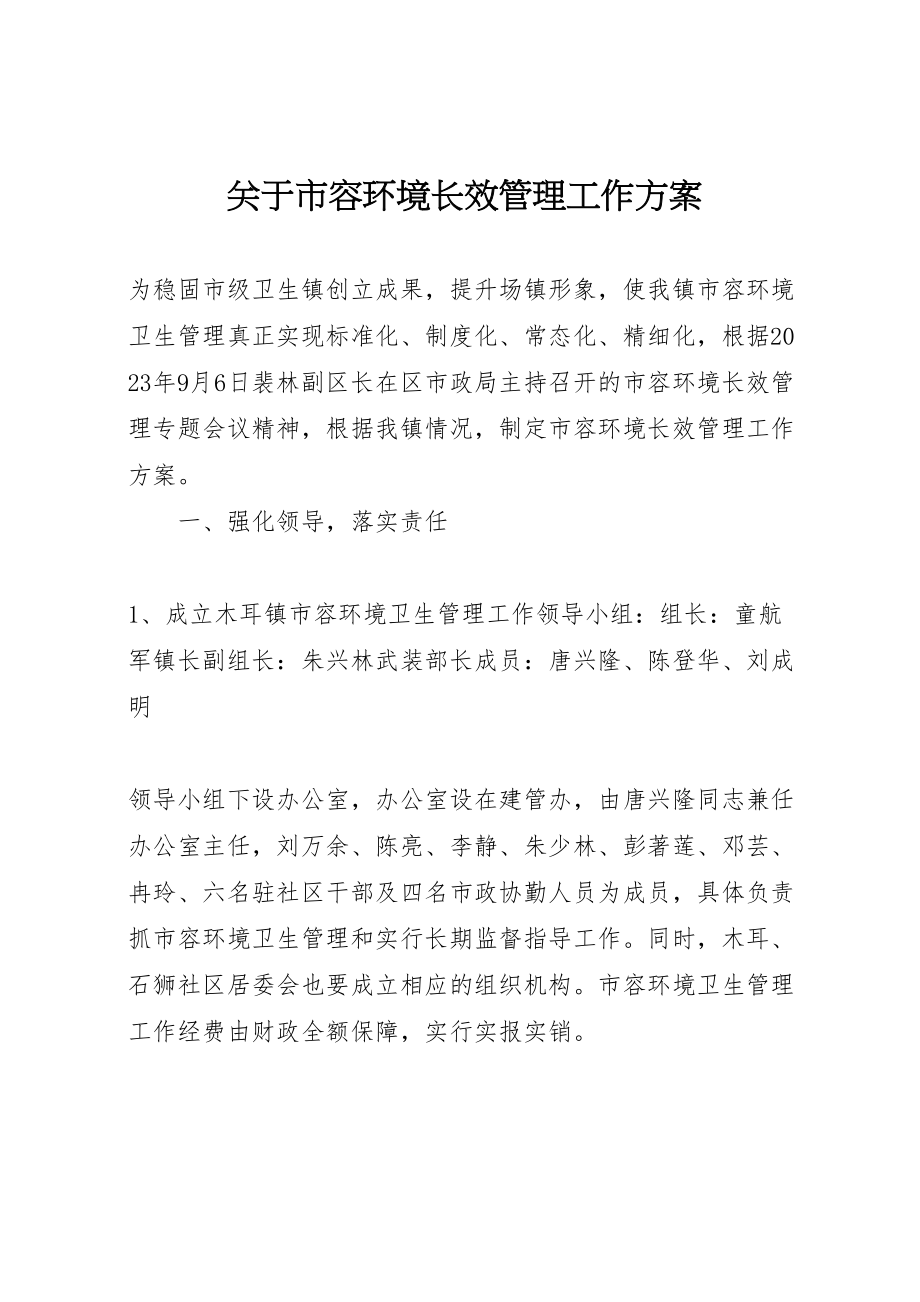 2023年关于市容环境长效管理工作方案.doc_第1页