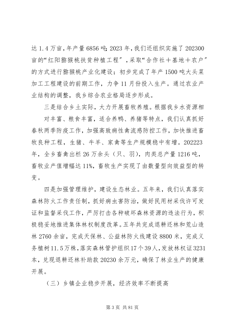 2023年XX乡党代会党委工作报告新编.docx_第3页