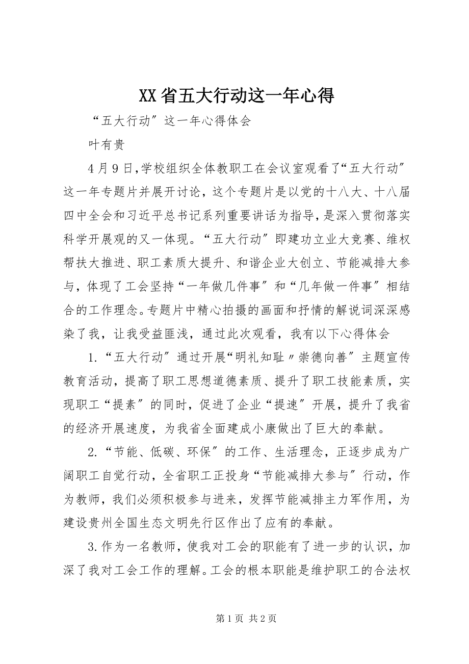 2023年XX省《五大行动这一年》心得.docx_第1页