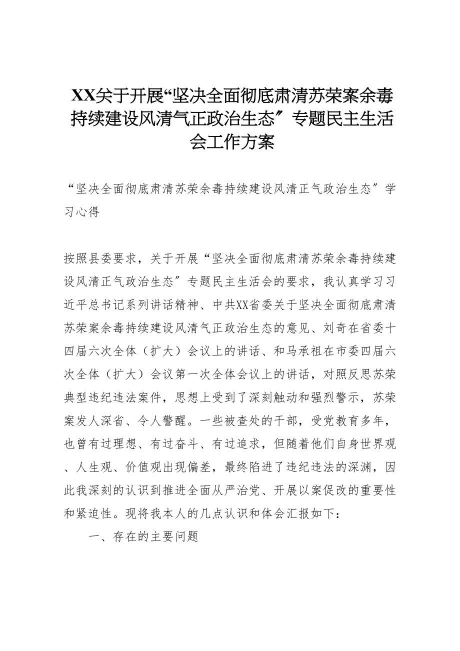 2023年关于开展坚决全面彻底肃清苏荣案余毒持续建设风清气正政治生态专题民主生活会工作方案 2.doc_第1页