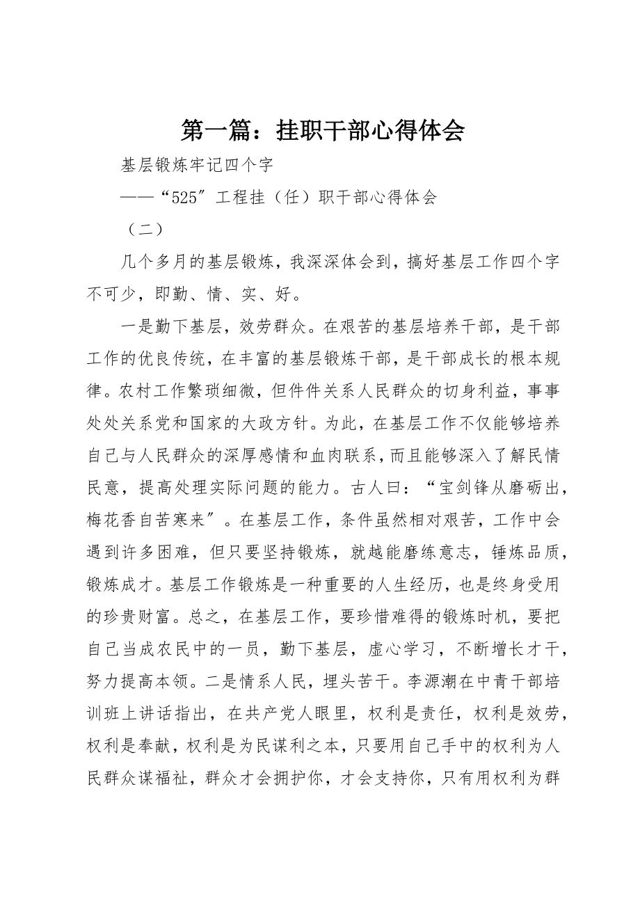 2023年xx挂职干部心得体会新编.docx_第1页