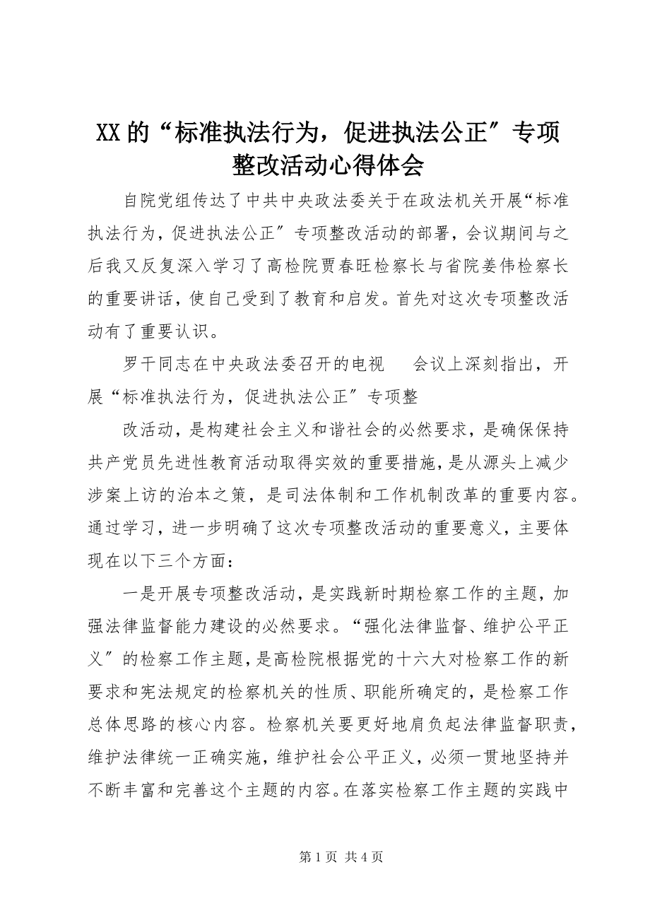 2023年XX的规范执法行为促进执法公正专项整改活动心得体会.docx_第1页