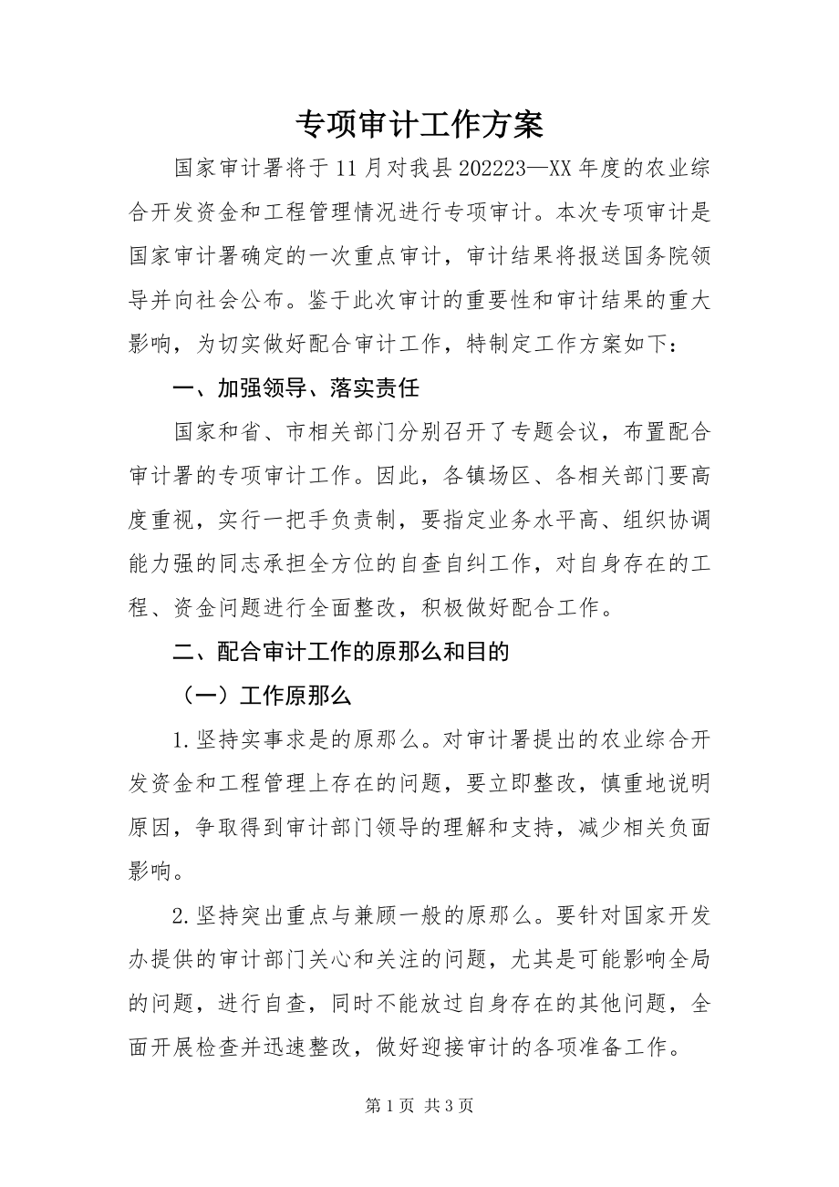 2023年专项审计工作方案.docx_第1页