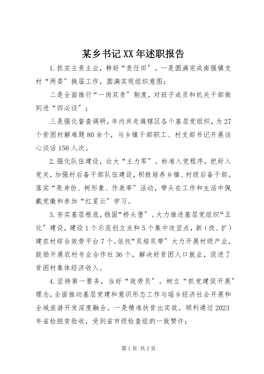 2023年xx乡书记述职报告2.docx_第1页