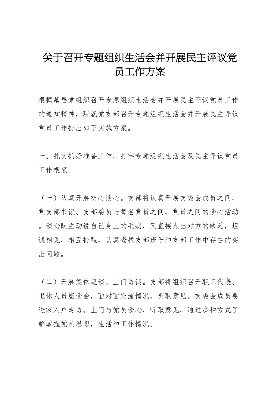 2023年关于召开专题组织生活会并开展民主评议党员工作方案.doc_第1页