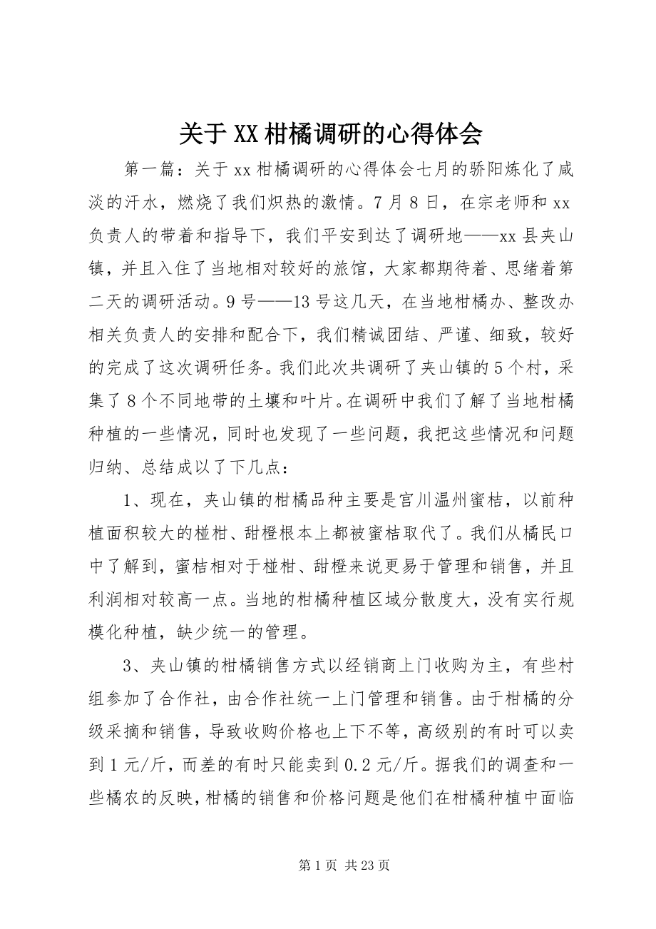 2023年XX柑橘调研的心得体会.docx_第1页