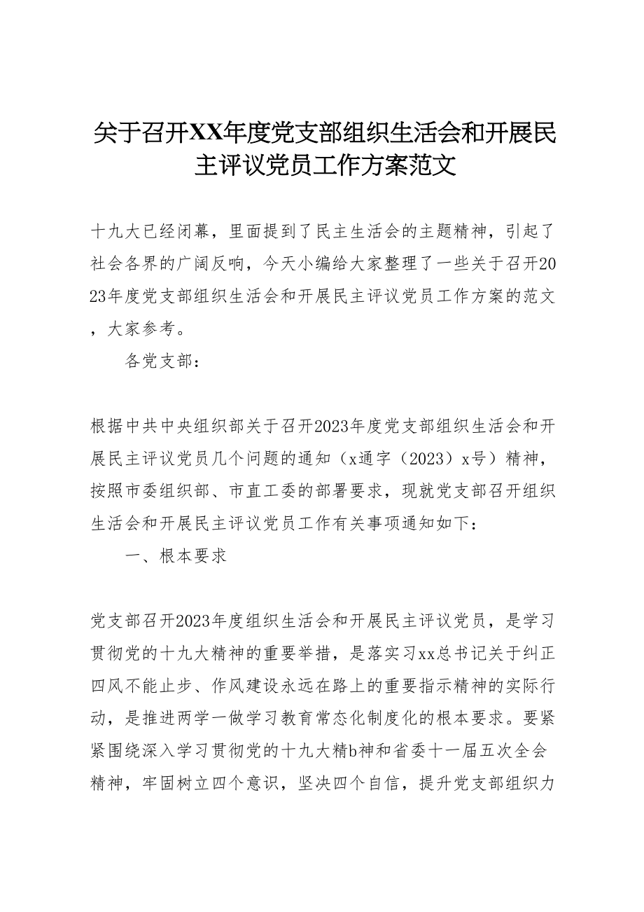 2023年关于召开年度党支部组织生活会和开展民主评议党员工作方案范文.doc_第1页