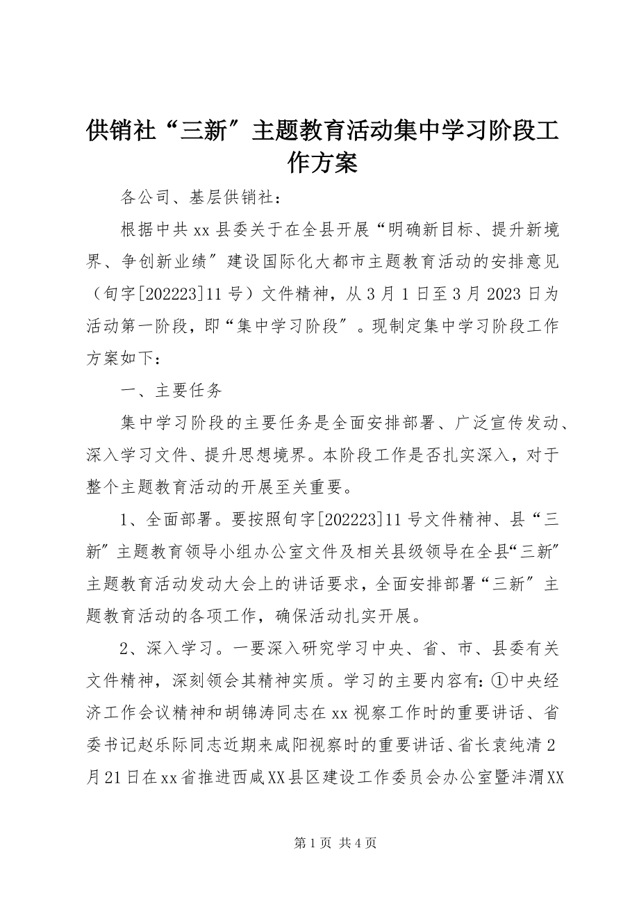 2023年供销社“三新”主题教育活动集中学习阶段工作方案.docx_第1页