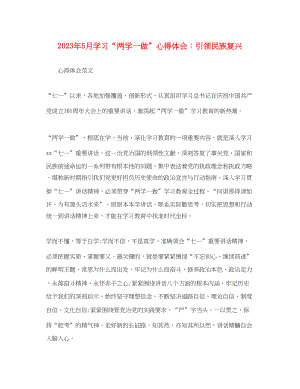 2023年5月学习两学一做心得体会引领民族复兴.docx