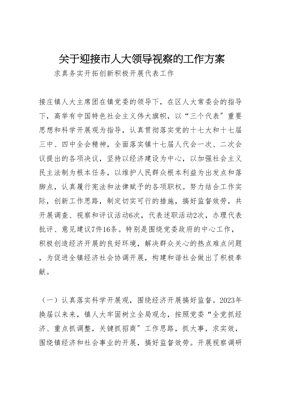 2023年关于迎接市人大领导视察的工作方案 4.doc_第1页