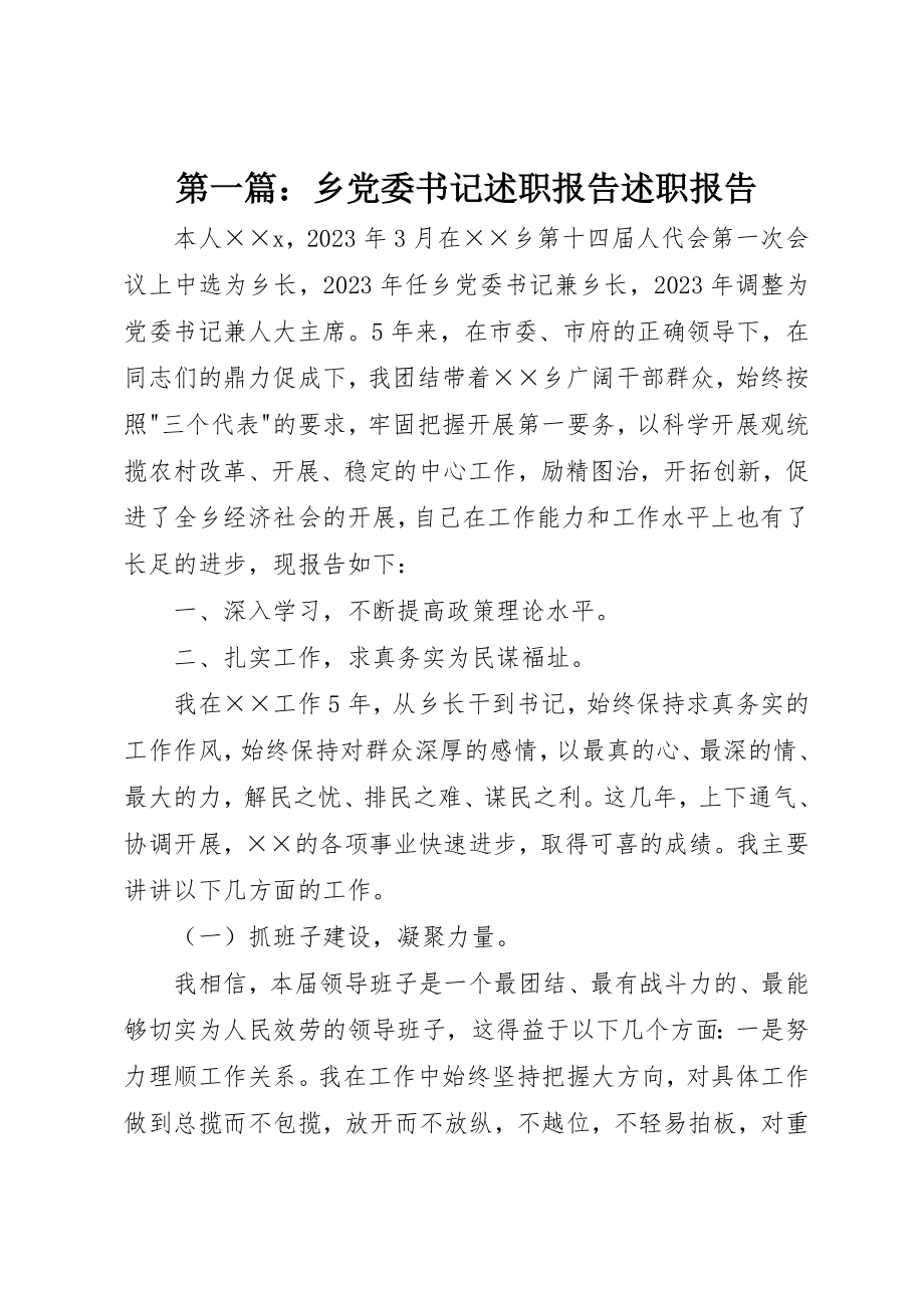 2023年xx乡党委书记述职报告述职报告新编.docx_第1页