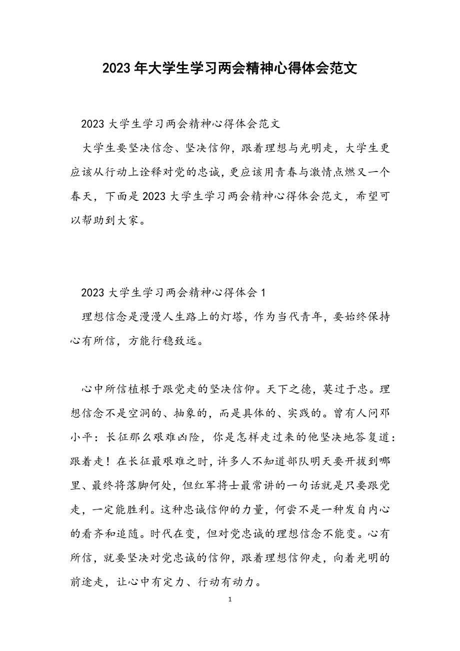 2023大学生学习两会精神心得体会.docx_第1页