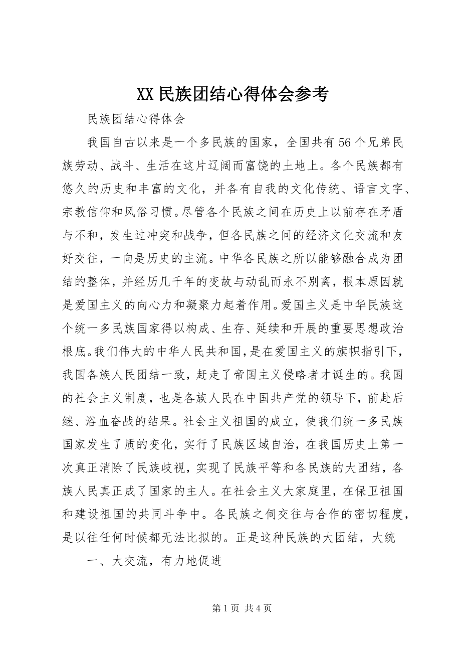 2023年XX民族团结心得体会参考新编.docx_第1页