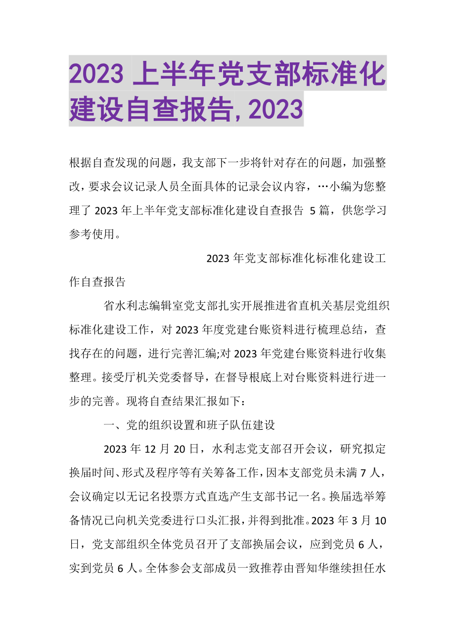 2023年20XX上半年党支部标准化建设自查报告,20XX.doc_第1页