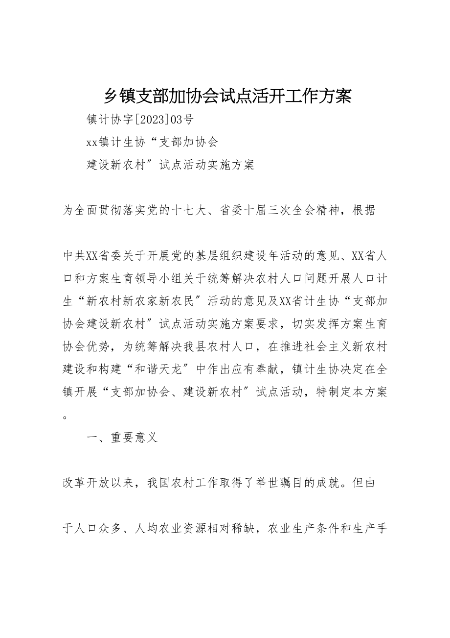 2023年乡镇支部加协会试点活动工作方案.doc_第1页