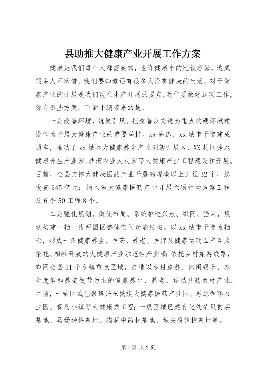 2023年县助推大健康产业发展工作方案.docx_第1页